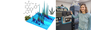 Hou daardie Cannabis-blare – hulle is vol seldsame verbindings