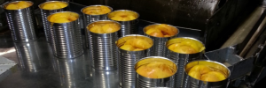 Plan needed to enhance competitiveness of SA’s deciduous fruit canning industry