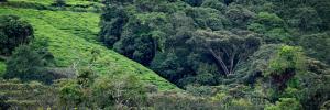 The role of ecotones in a changing world