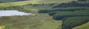 SA leads in nature conservation using huge corridors