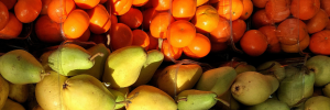 SA needs new strategy to boost agri-food exports to EU