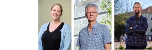 SU chemists inducted as Fellows of SA Chemical Institute and Royal Society of SA