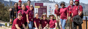 SU launches IMPACT Open-Air Laboratory