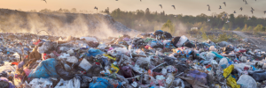 World Environment Day: Collective action needed to address key environmental issues