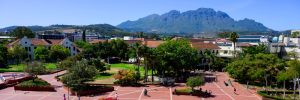 A view of the Stellenbosch campus photographed on a sunny day.