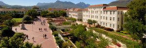 A picture of the Rooi Plein on the Stellenbosch Campus