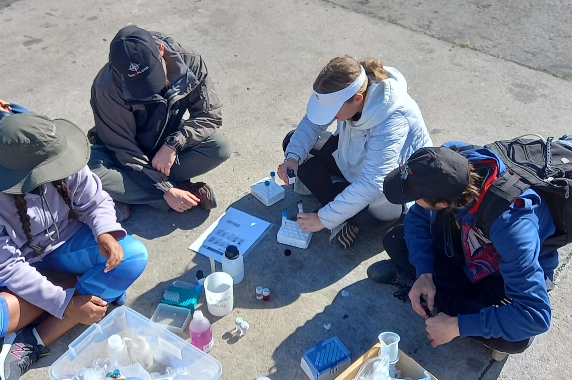 BSc Earth Science students sampling water along the West Coast