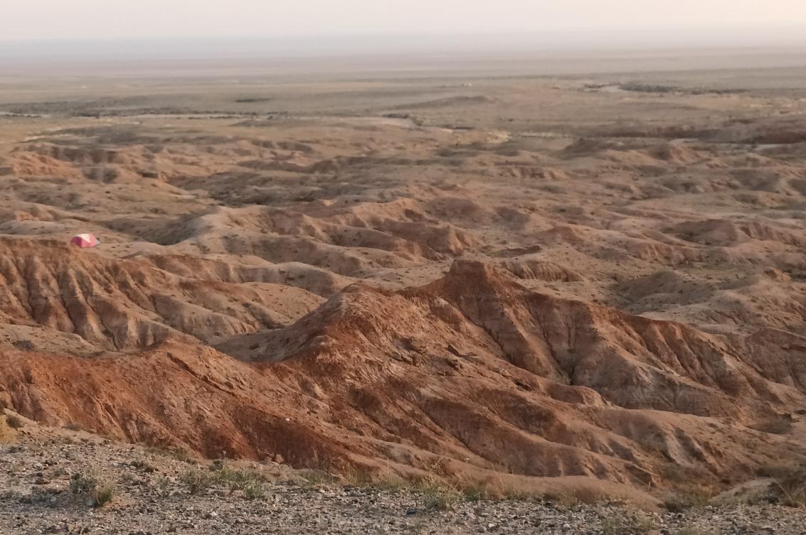 Looking out across the exposed fossil-bearing strata of the fossil locality Teel Ulaan Chaltsai, located in the Sainshand Sub-basin, Eastern Gobi Basin, Mongolia. The team dated eggshell from the Teel Ulaan Chaltsai locality