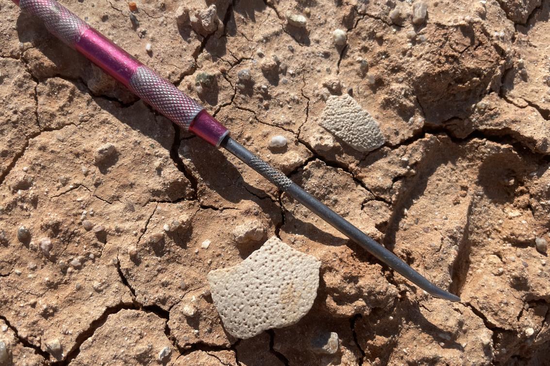 Exposed dinosaur eggshell fragments at Teel Ulaan Chaltsai, Eastern Gobi Basin