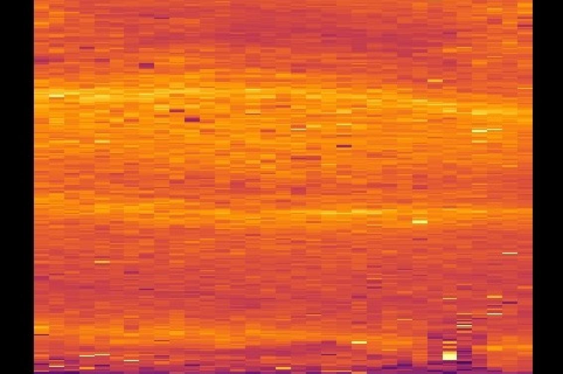 Elemental map of the isotope strontium (Sr) from dinosaur eggshell collected from Teel Ulaan Chaltsai, Eastern Gobi Basin.  Elemental maps were used by the researchers to evaluate if the uptake of strontium (Sr) was uniformly distributed across the eggshell. A uniform distribution indicates that uptake of this and other isotopes occurred after burial but prior to fossilization.