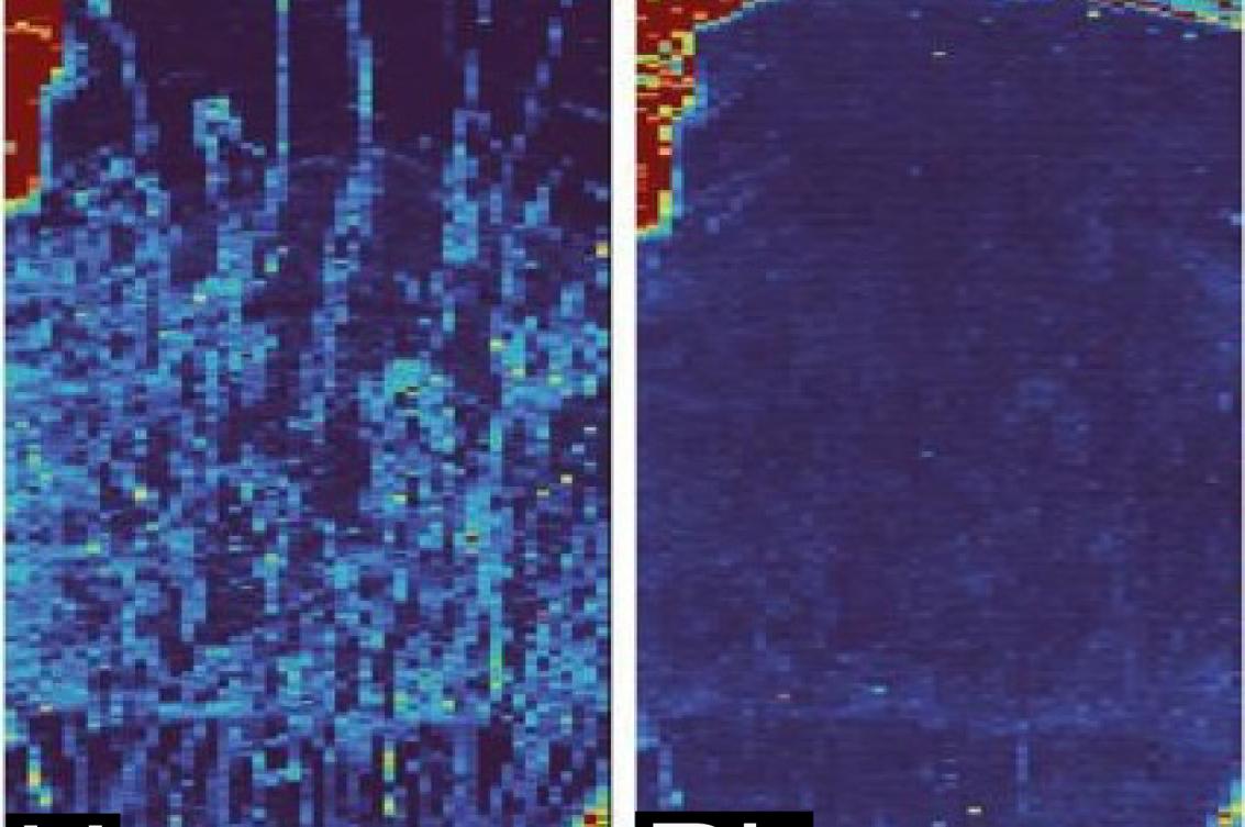 Comparative elemental map of isotopes uranium (U) and lead (Pb) that were used for age dating fossil eggshell collected from the Mussentuchit Member, Cedar Mountain Formation, Utah (USA). Maps indicate that in the USA sample, Uranium (U) penetrated the eggshell after fossilization, whereas the samples from Teel Ulaan Chaltsai show uranium (U) prior to fossilization.