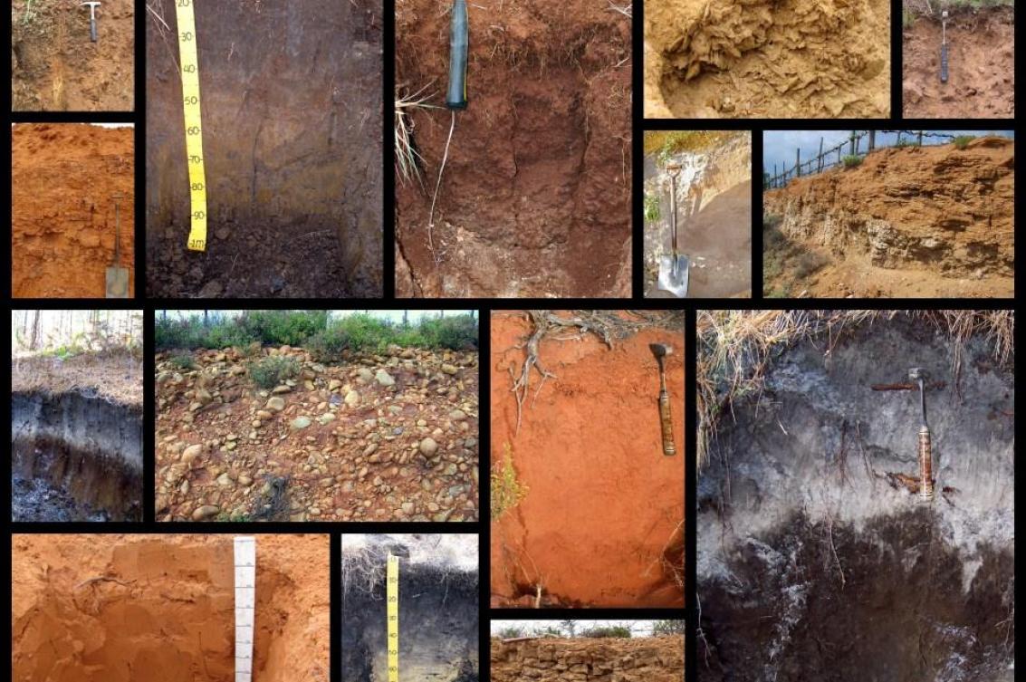 Department of Soil Science Research