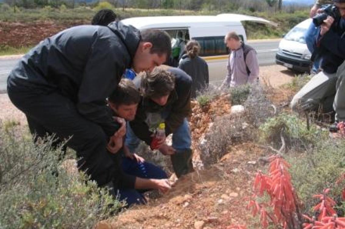 Soil Science Photo Gallery