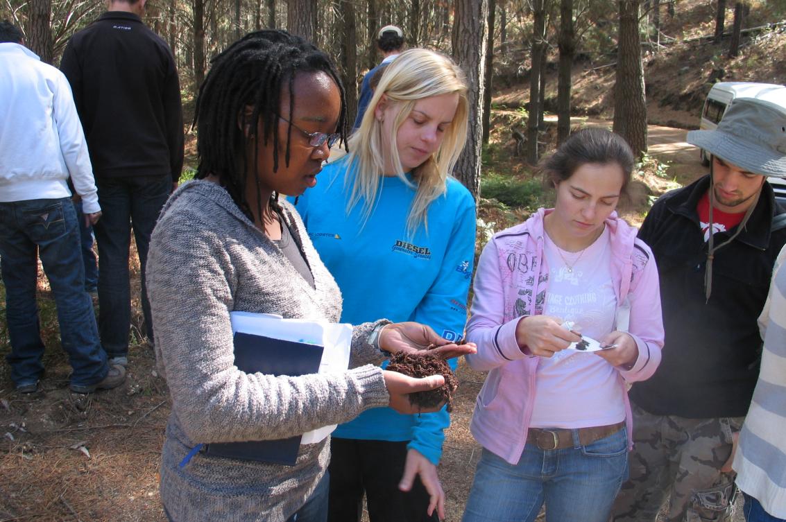 Undergraduate Programmes in Soil Science