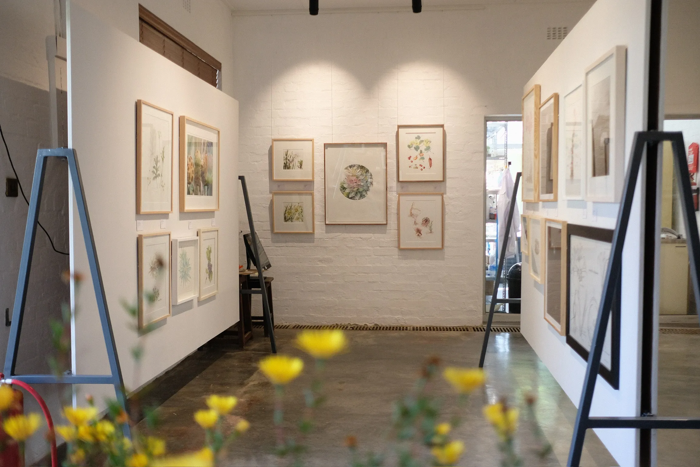 Stellenbosch University Botanical Garden launches landmark botanical ...