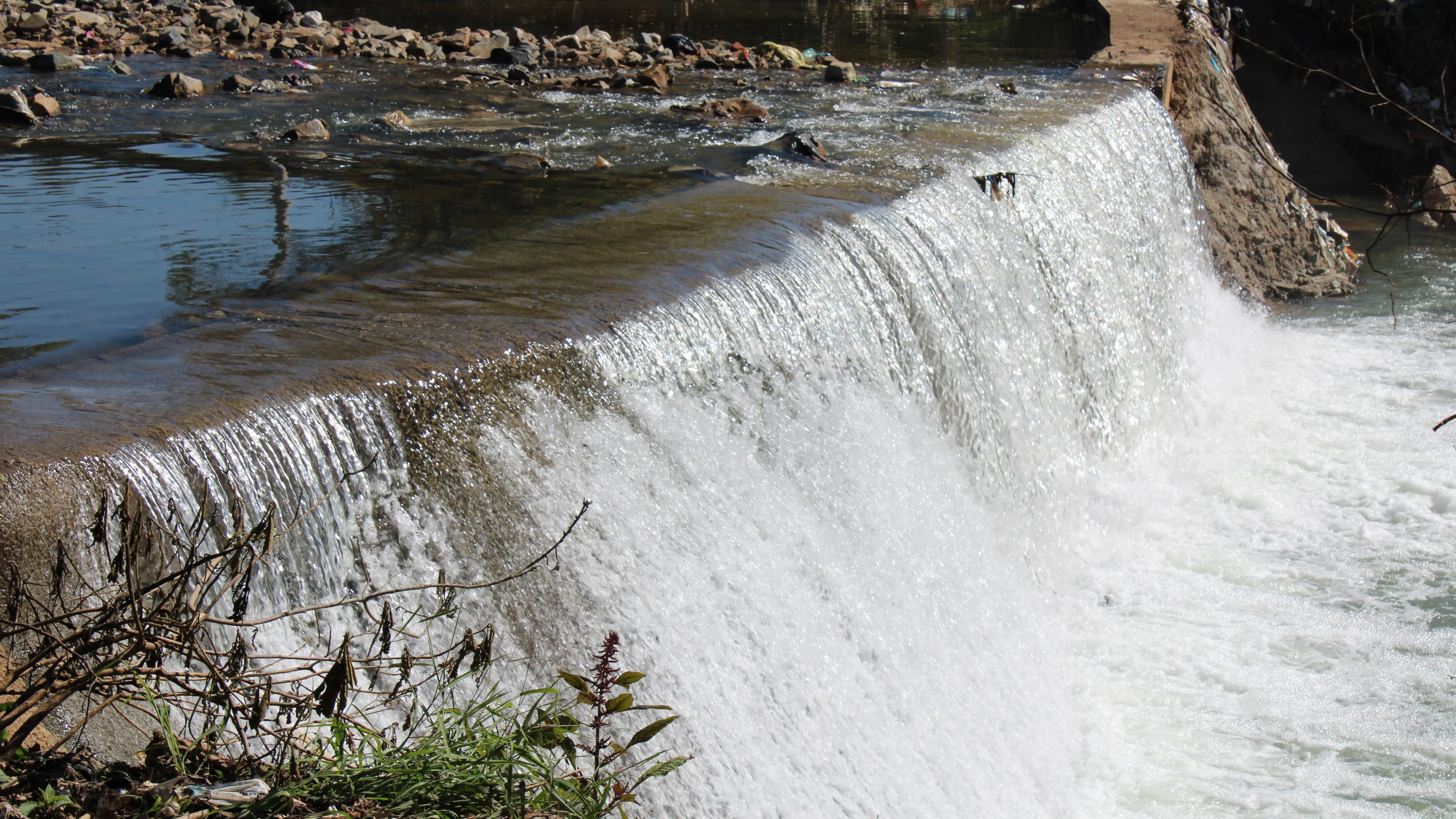 Sample Waste Sample Wastewater harbours high-risk antimicrobial resistance genes ...