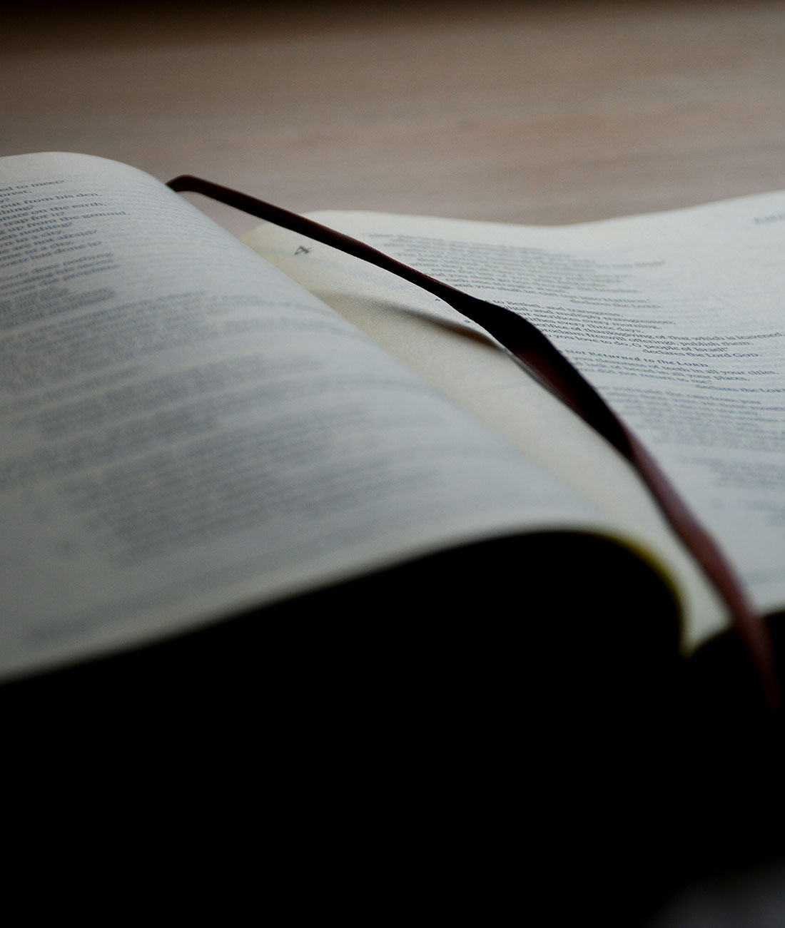 Old and new testament department